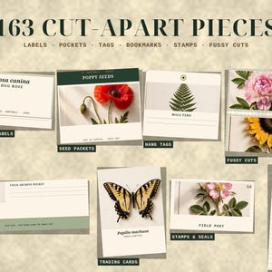 May include: A collection of 163 cut-apart pieces including labels, pockets, tags, bookmarks, stamps, and fussy cuts. The items feature botanical illustrations of flowers, ferns, and a swallowtail butterfly with text labels like Rosa canina, Poppy Seeds, and Male Fern.