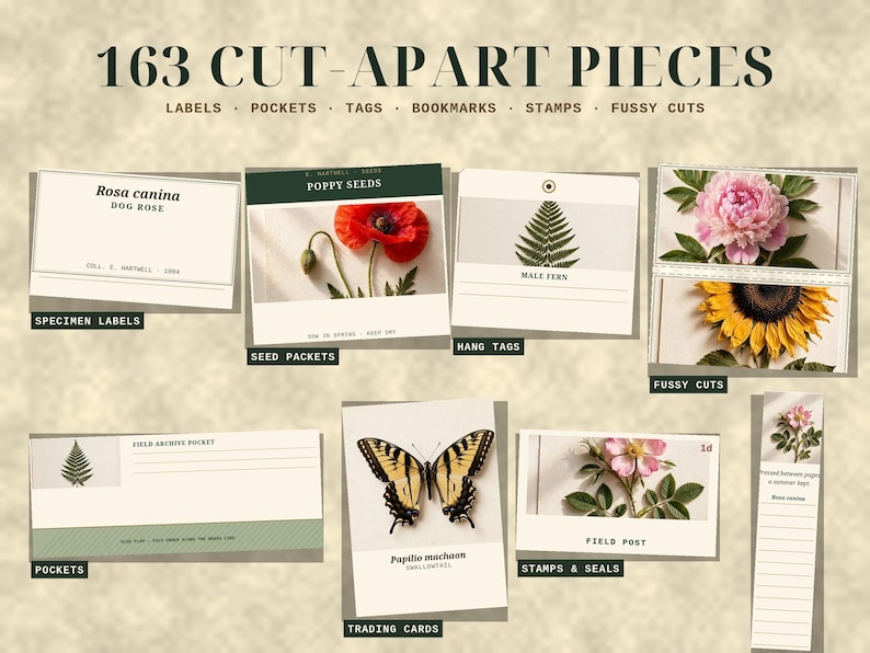 May include: A collection of 163 cut-apart pieces including labels, pockets, tags, bookmarks, stamps, and fussy cuts. The items feature botanical illustrations of flowers, ferns, and a swallowtail butterfly with text labels like Rosa canina, Poppy Seeds, and Male Fern.