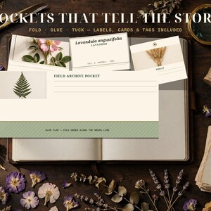 May include: A set of paper stationery featuring a Field Archive Pocket with a fern illustration, labels, and cards. The text reads POCKETS THAT TELL THE STORY, FOLD GLUE TUCK, Lavandula angustifolia, and WHEAT. Includes a green glue flap.