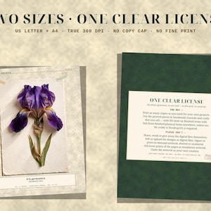 May include: A digital print set featuring a purple and yellow Iris germanica botanical illustration on a textured paper background, alongside a dark green card detailing a clear license agreement with the text ONE CLEAR LICENSE.