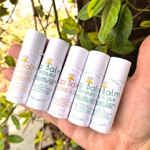 Herbal Handmade Lip Balm All natural Lip Balm Natural soothing lip moisturizer, Choose scent