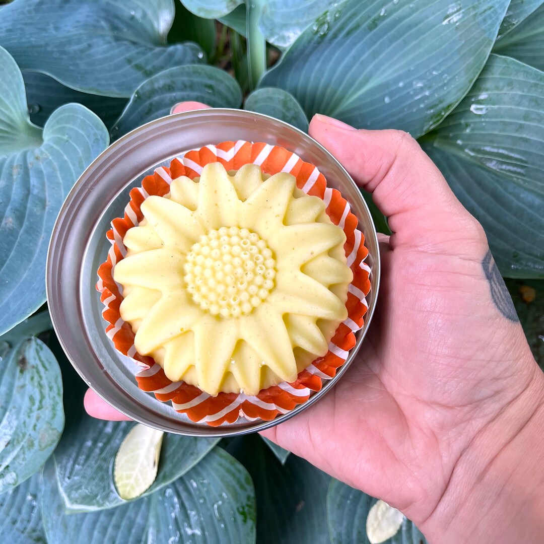Dandelion Shea Butter Lotion Bar, Sunflower Body Lotion Bar, Dandelion