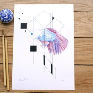 ART PRINTS- edition
