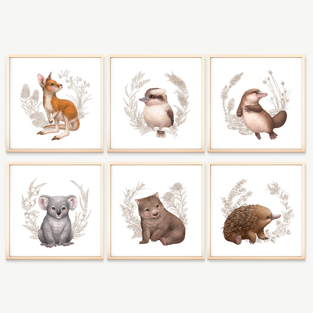 Australian Nursery Decor Native Australian Animals Prints Nursery Wall