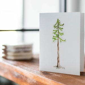 Watercolor Pine Tree Note Card Set: Blank evergreen Greeting Cards