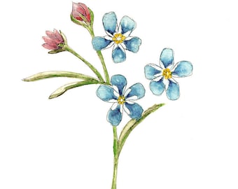 Forget-Me-Not Flower Art Print: Blue Floral Watercolor Painting