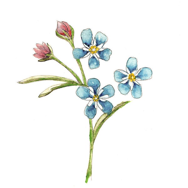 Wall art, floral painting, simple wall print, Watercolor painting, forget-me-not flower art, affordable gift, Gift for her, blue floral art