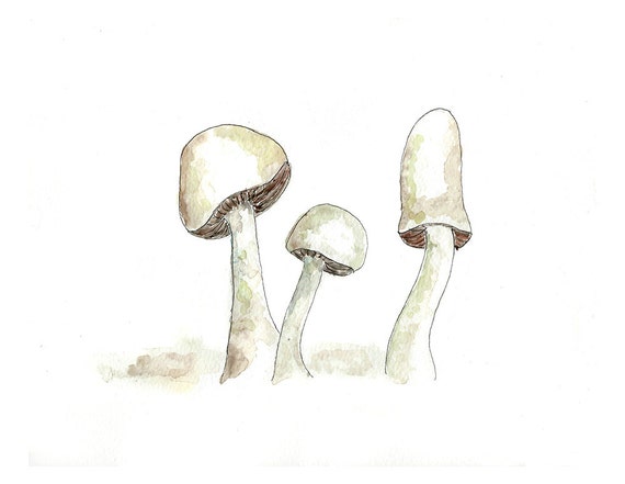 Culinary Kitchen Decor Watercolor Painting Wild Mushroom Art Etsy