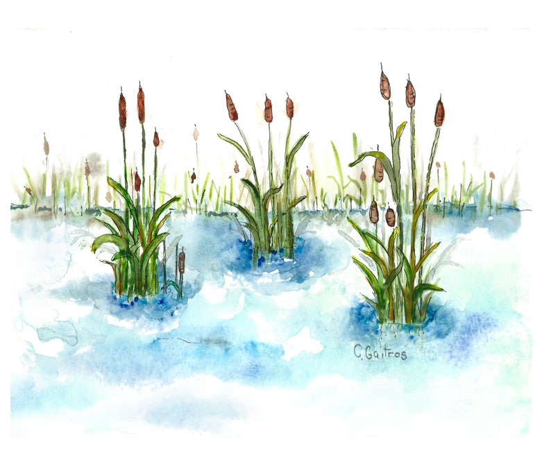 Landscape Art Lake Life Watercolor Pond With Cattails Wall