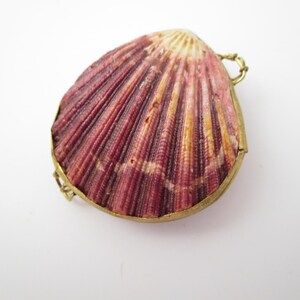 May include: A decorative shell with a hinged, gold-colored metal frame. The shell is a deep burgundy color with lighter orange and white accents. The shell's surface has a ribbed texture. The frame has a small loop on the top.
