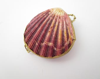 Vintage Scallop Sea Shell Trinket/Jewelry Box: Hinged Box for Small Items