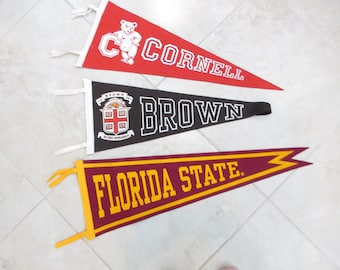 Large Vintage Felt Souvenir Pennants: Brown Cornell Florida State