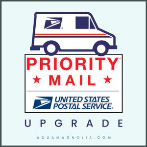 Rush Order Processing: Priority Mail Upgrade