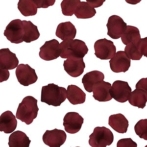 May include: Scattered burgundy rose petals on a white background.