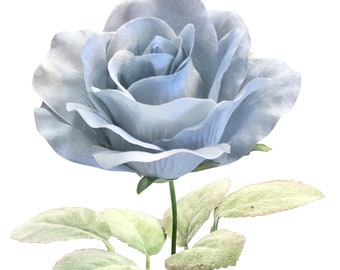 Dusty Blue Roses Etsy