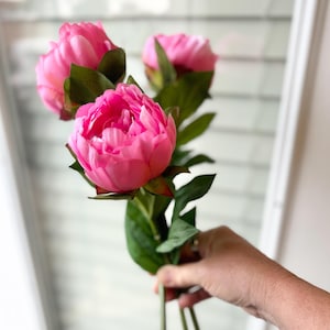 May include: A bouquet of three pink peonies with green leaves and stems.