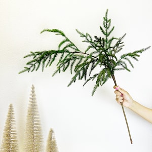 Norfolk Pine Branch | Farmhouse Christmas Decor