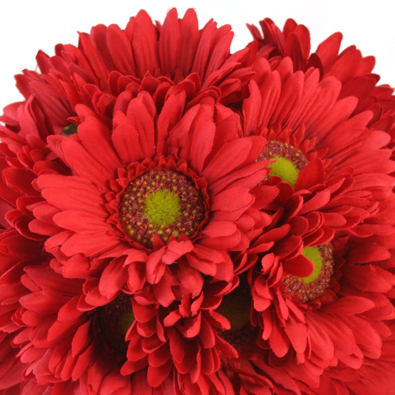 Red Gerbera Daisy Wedding Bouquet