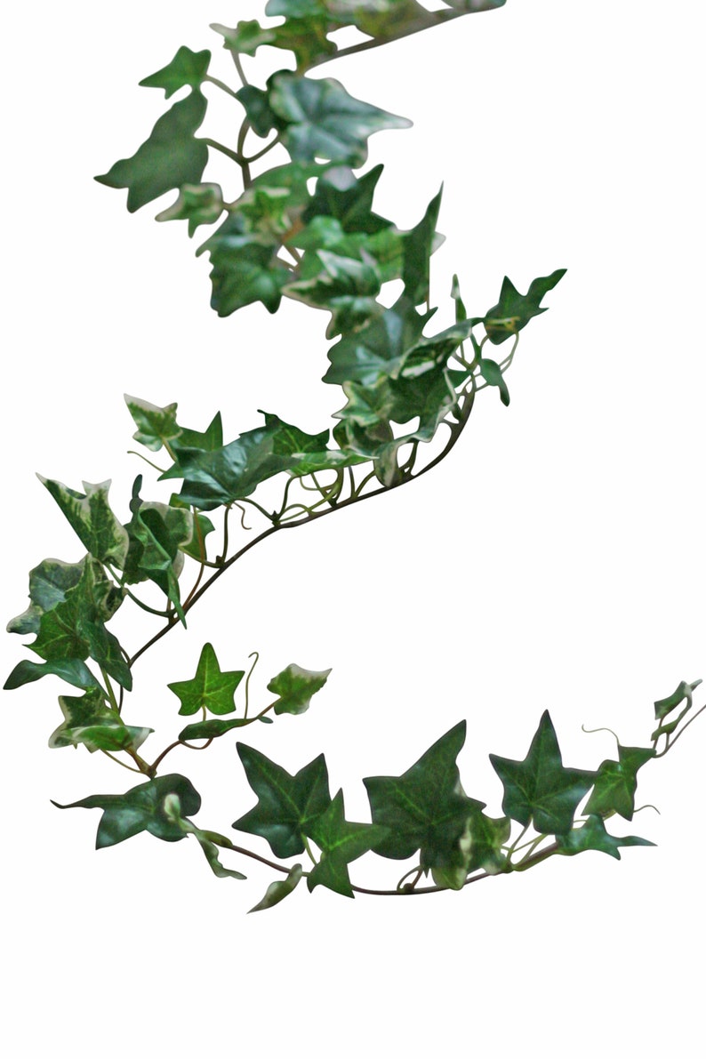 Ivy Garland Greenery Garland Wedding Garland Artificial Etsy