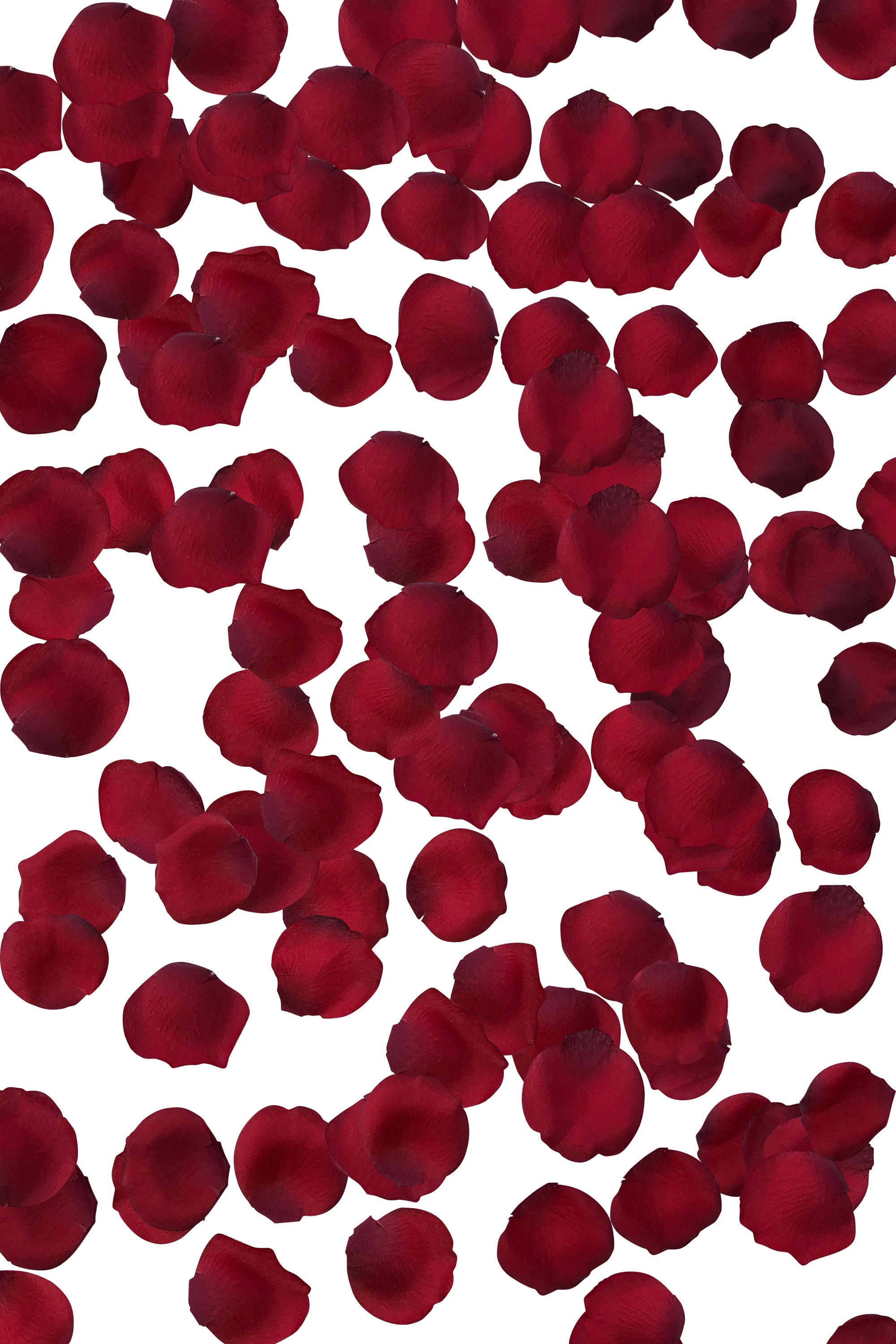 Red Silk Rose Petals | Flower Girl |  Wedding Decoration