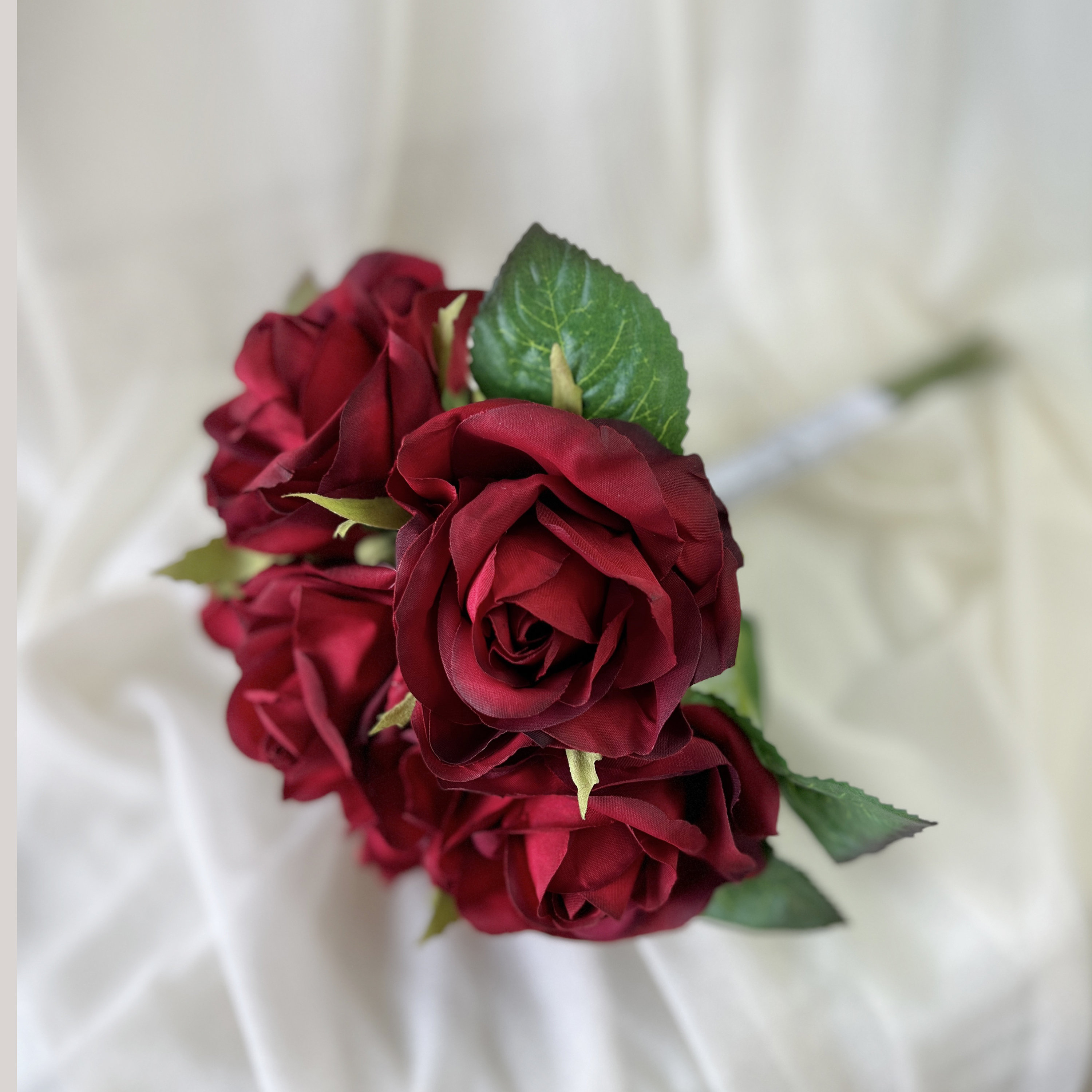 5pcs Deep Red Mini Roses, Dried Small Dark Red Roses, Wine Red