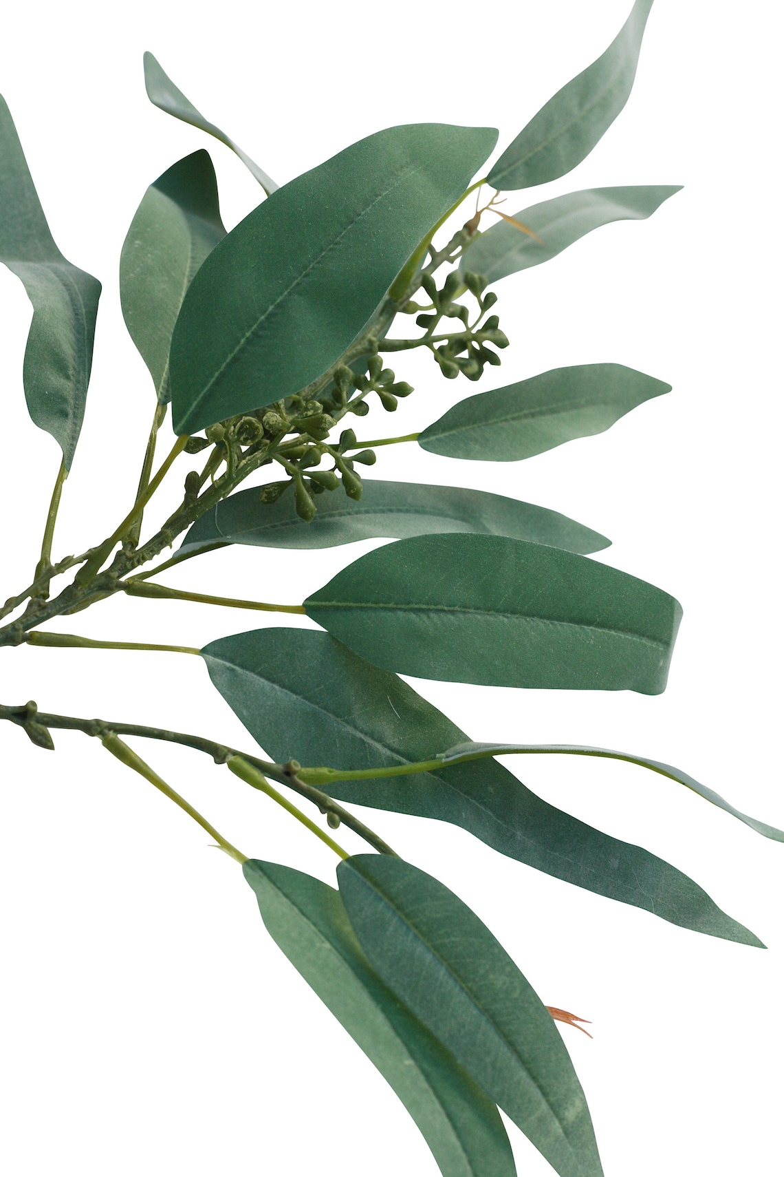 Fake Seeded Eucalyptus Stem Artificial Eucalyptus Leaves on Etsy