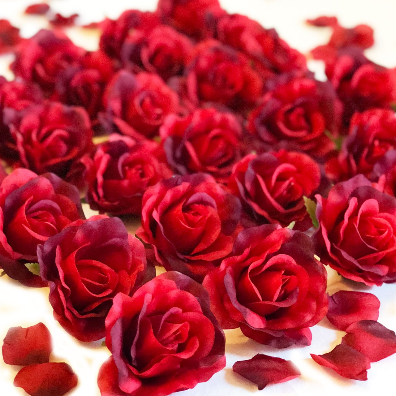 Bouquet de roses rouges fanées – Cadeau Empoisonné