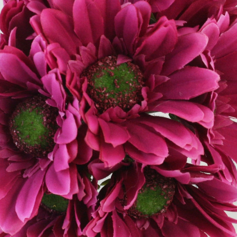 Hot Pink Daisy Bouquet 18 stems Bridal Wedding Flowers
