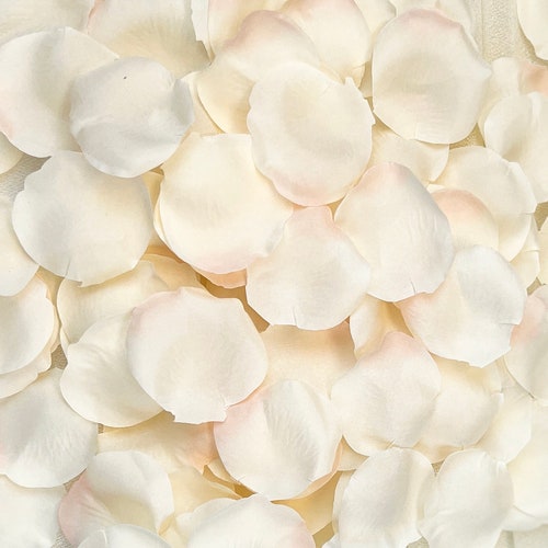 Ivory to Blush Rose Petals Silk Rose Petals DIY Aisle Etsy