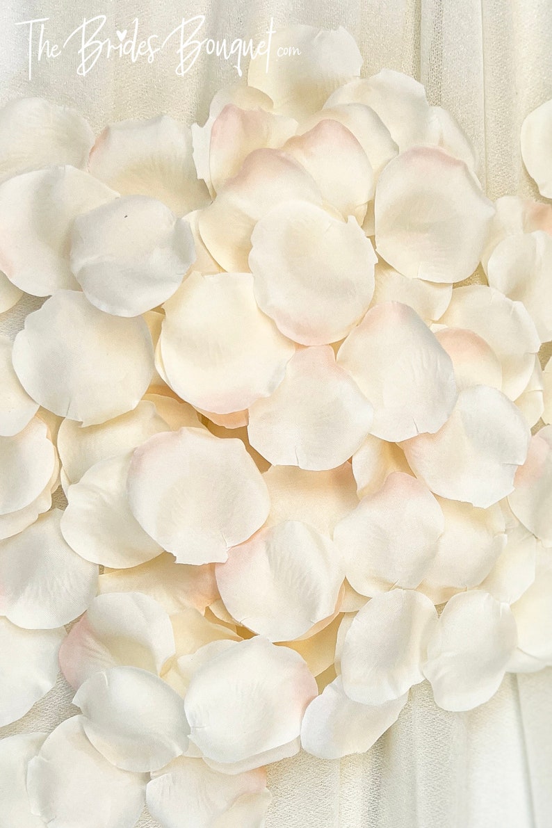 IVORY BLUSH Silk Rose Petals 250 Petals Wedding Centerpiece image 1