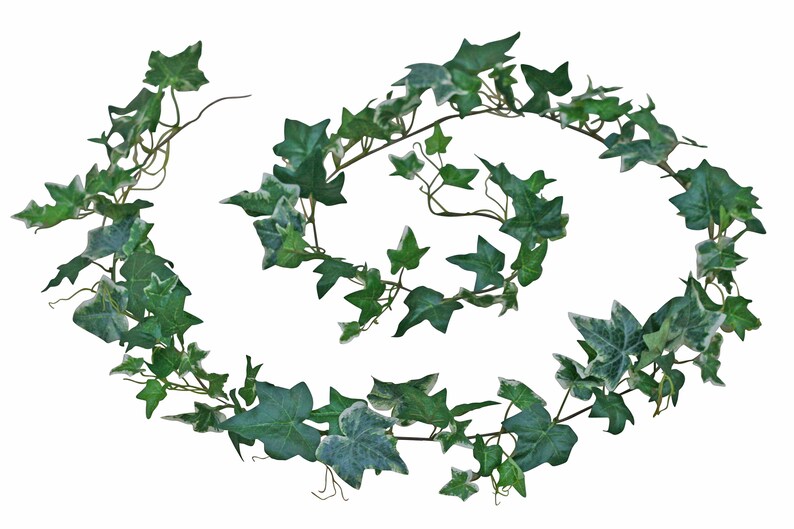 Ivy Garland Greenery Garland Wedding Garland Artificial Etsy