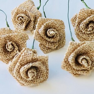 May include: Six small burlap roses with green wire stems. The roses are a light brown color and have a rustic, handmade look.