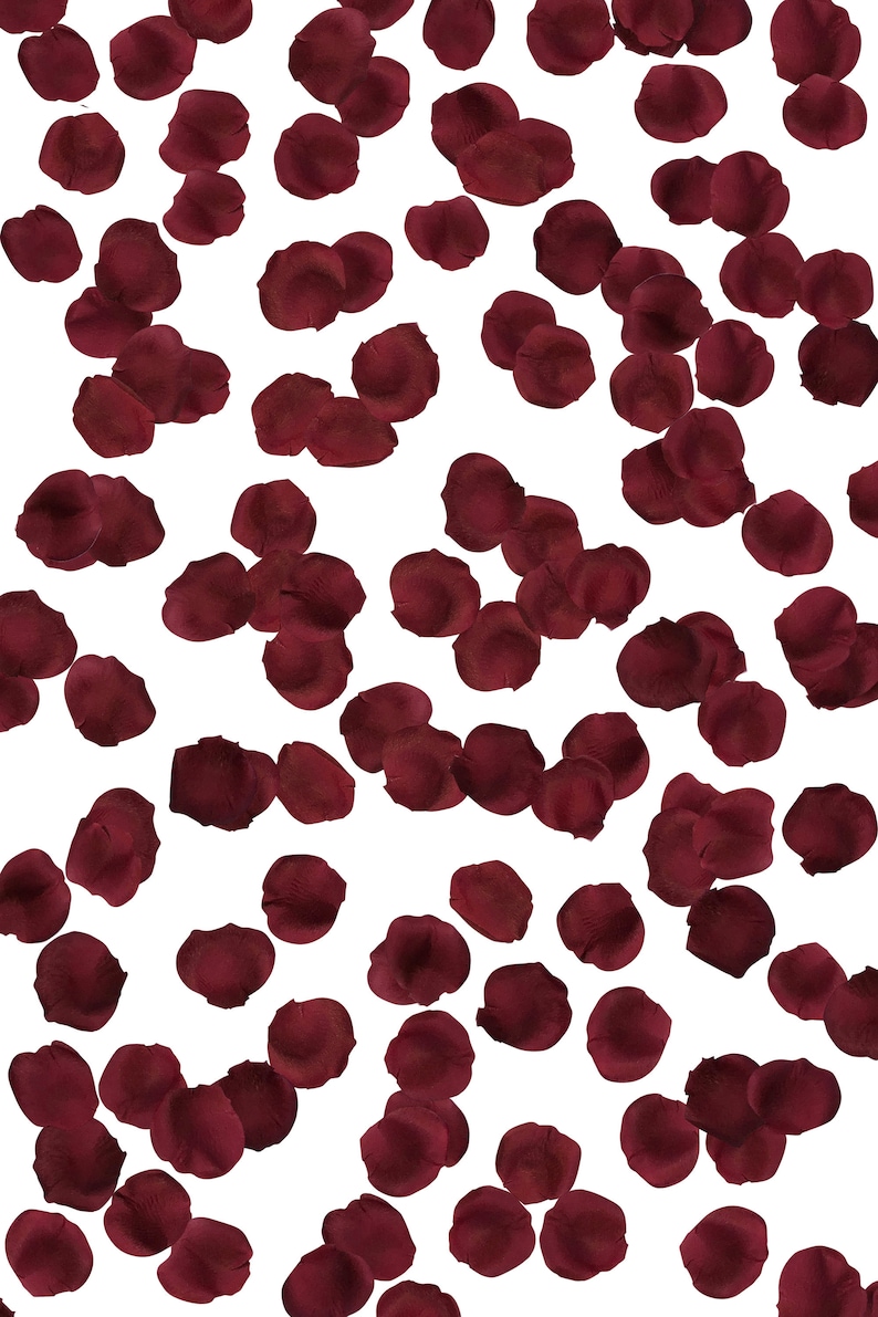 Burgundy Silk Rose Petals Wedding Centerpiece Aisle Etsy