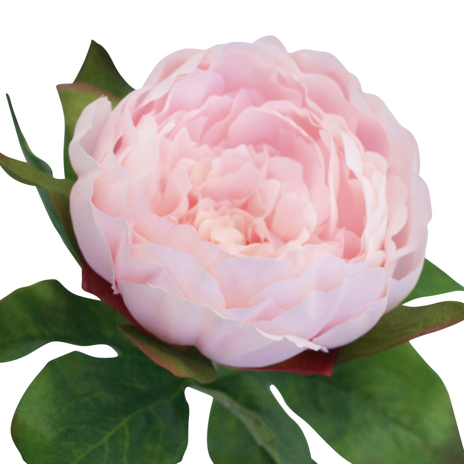 Silk Peony Flowers in Blush Pink Silk Peony Stems for Home Etsy