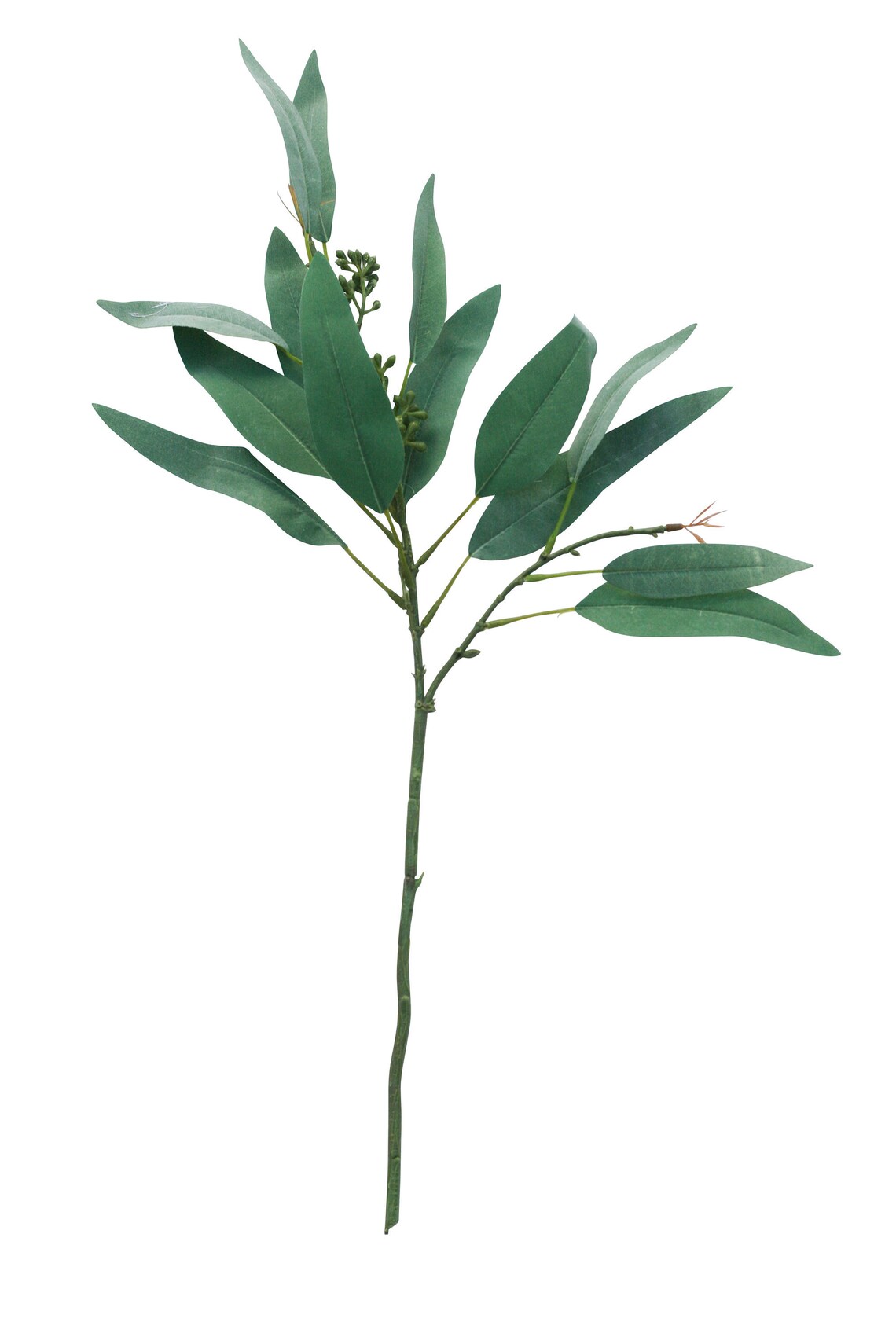 Fake Seeded Eucalyptus Stem Artificial Eucalyptus Leaves on Etsy
