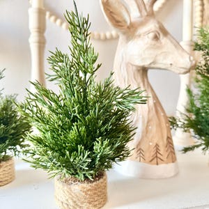 Mini Christmas Tree Set of 3 -  Holiday Decor Gifts