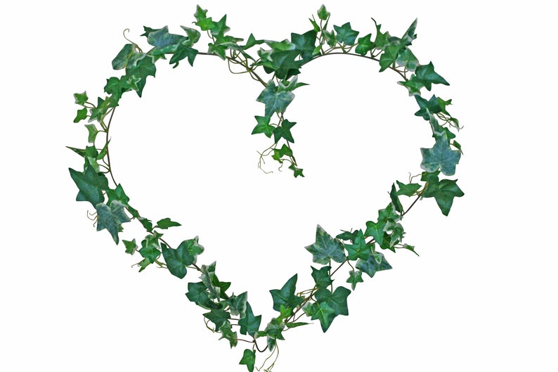 Ivy Garland Greenery Garland Wedding Garland Artificial Etsy