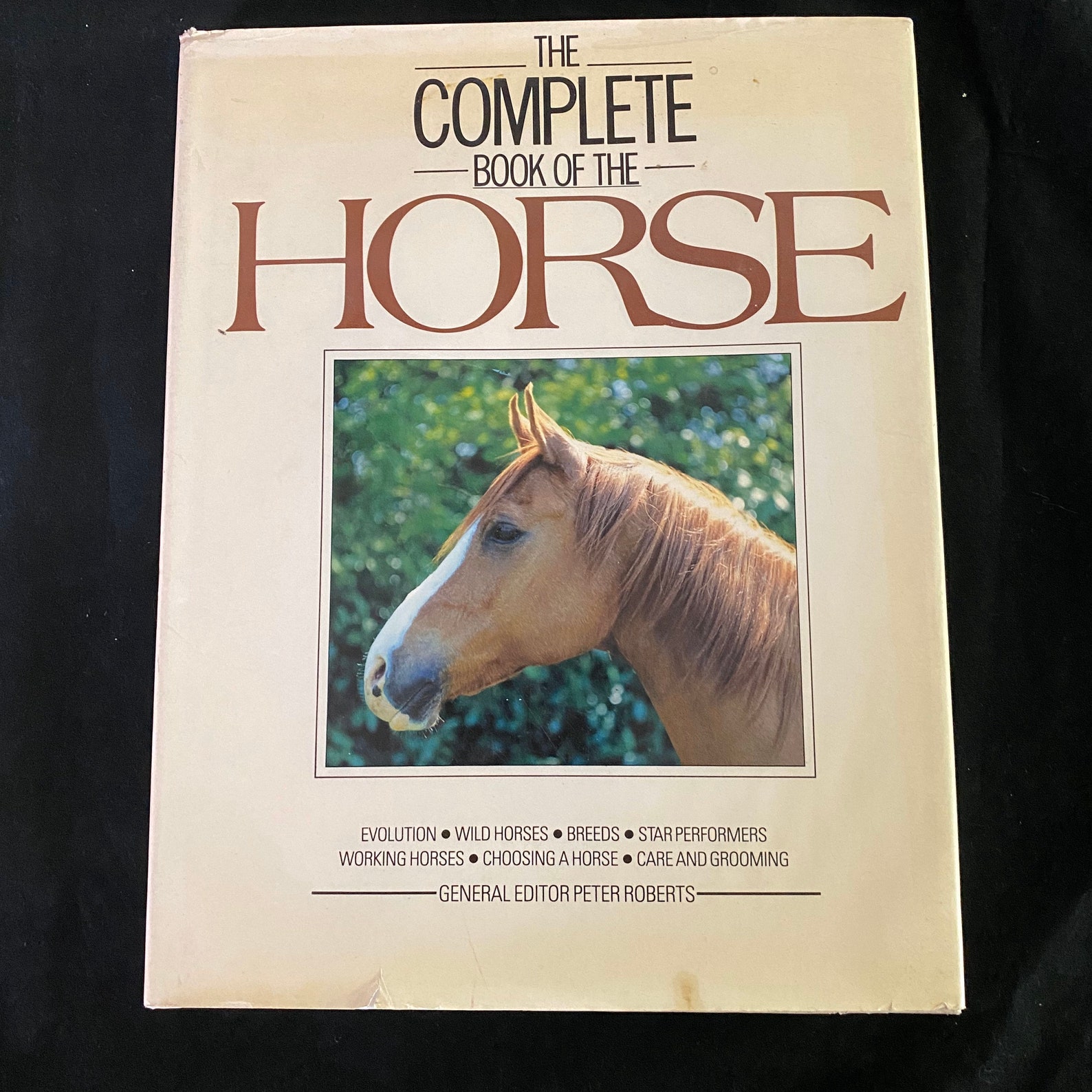 Vintage Hardback Book The Complete Book of the Horse Peter Etsy Vintage Hardback Book The Complete Book of the Horse Peter Etsy