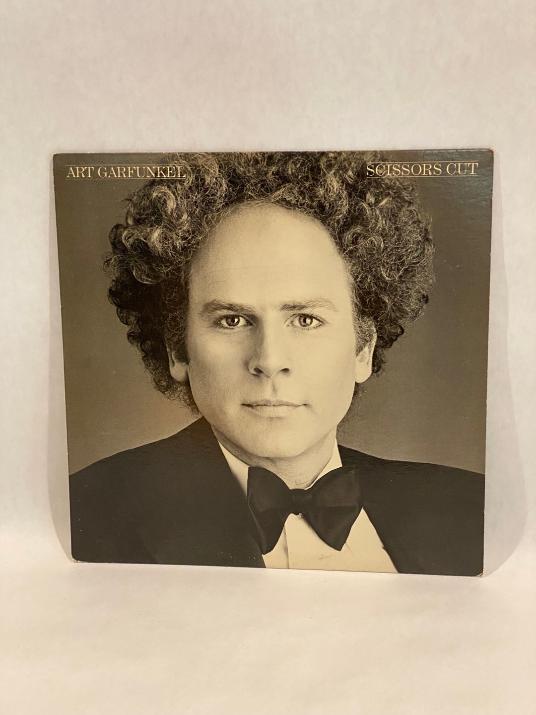 Vintage Vinyl Record Art Garfunkel Scissors Cut Album FC37392 Etsy