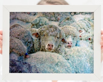 Sheep Print different sizes Canvas / Paper Lucy Morena Artina Fine Art  Artist Lamb Ewe Farm Art Farmhouse print