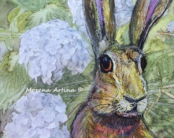 May include: A watercolor painting of a brown hare with large ears, looking directly at the viewer. The hare is surrounded by white hydrangea flowers and green foliage. The painting is signed "Morena Artina ©".
