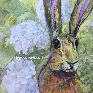 Hare Print Canvas different sizes Hydrangea Hare Morena Artina Fine Art Hare Canvas Hare Artist