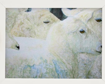 Schapen Print verschillende maten Canvas / Papier Na de Herder Morena Artina Fine Art Artist Lamb Ewe Farm Art Boerderij print