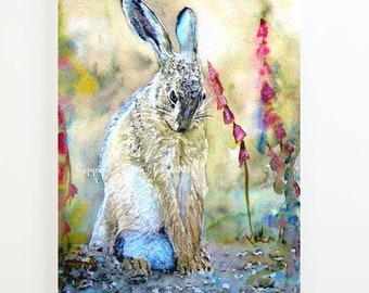 Hare Print Canvas different sizes Shy Hare Morena Artina Fine Art Hare Canvas Hare Artist