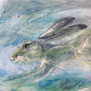 Hare Print different sizes Misty Hare Morena Artina Fine Art Hare Latest Hare Artist
