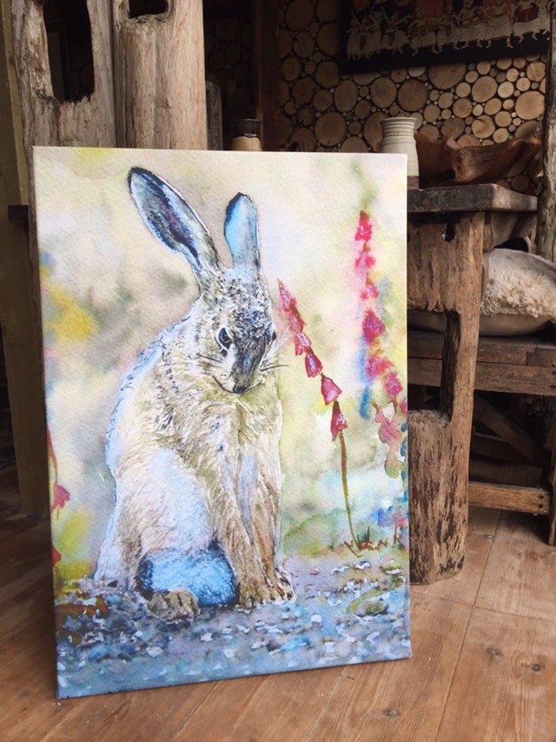 Hare Print Canvas Different Sizes Shy Hare Morena Artina Fine Etsy UK