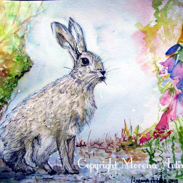 Hare Print Hiding Hare