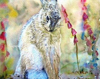 Shy Hare Print – Watercolour Hare Wall Art – Woodland Wildlife Painting – Rustic Country Home Decor – Bunny Gift – Animal Art Print”