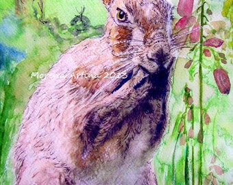 Hare print Washing Hare