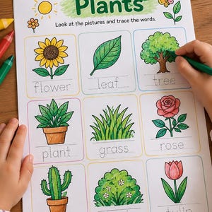 Home Learning Activity Book | Plants, Pets & Wild Animals | Preschool Worksheets Ages 4–6 | Printable Kids Workbook